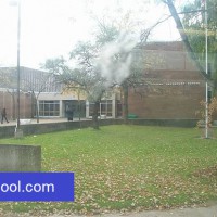 Newlands School Picture in Lechool